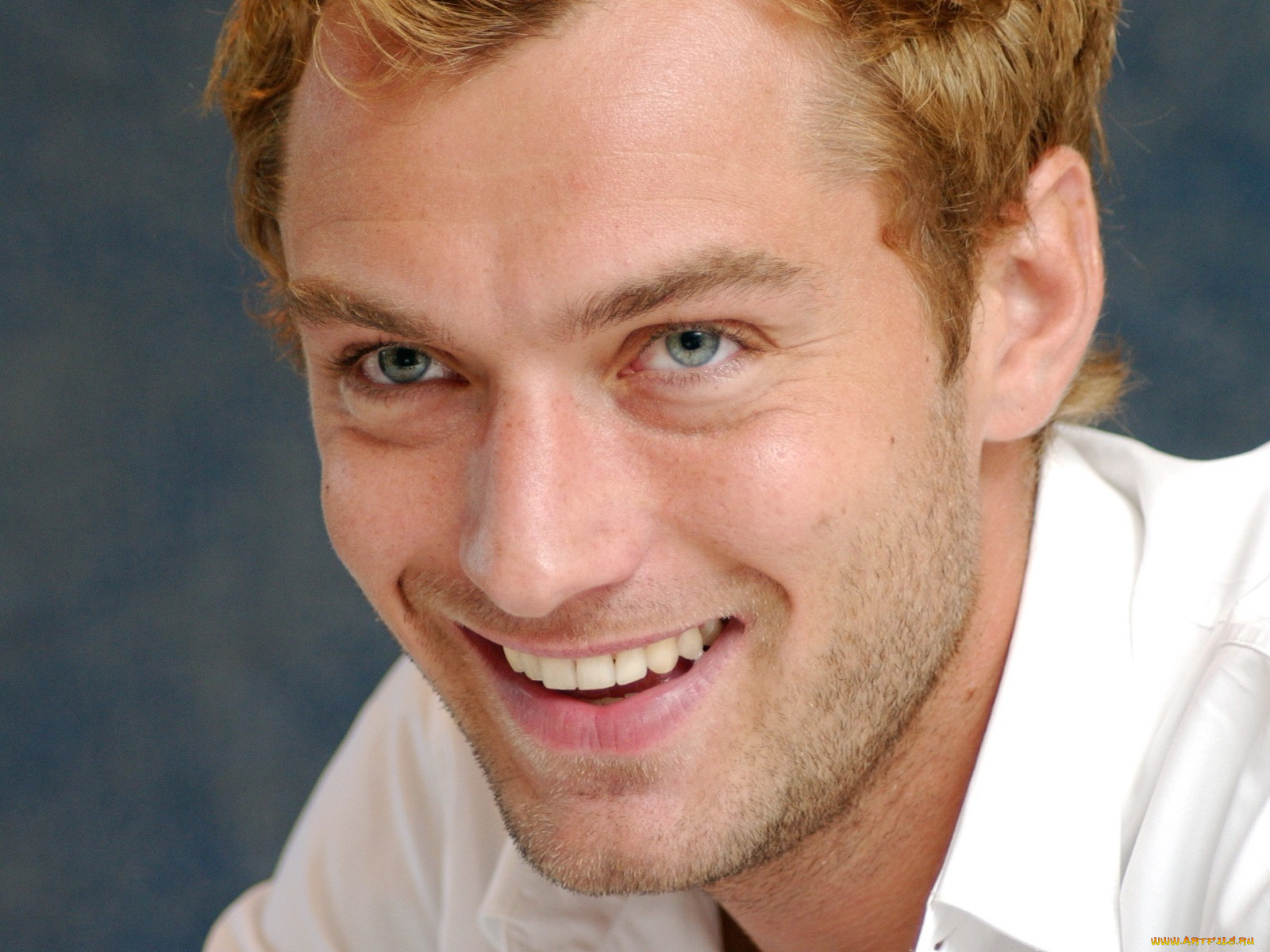 jude, law, 